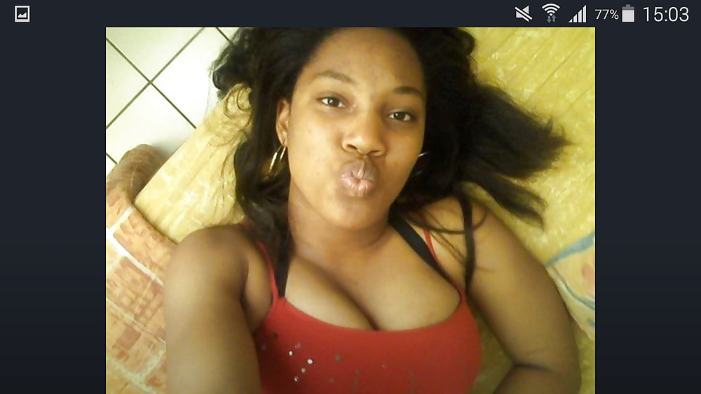 chat avec put